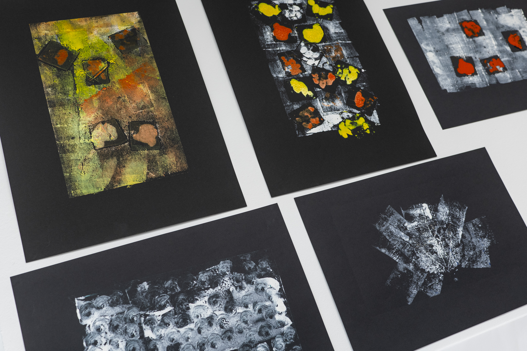 Ovidijus peržiūros-26